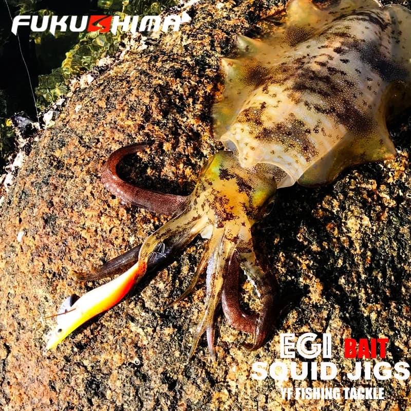 Leurre Egi Fukushima 2-3.5 pour Calamar et Seiche, Appât Crevette Fluorescent avec Hooks Aiguisés 21g Pêche
