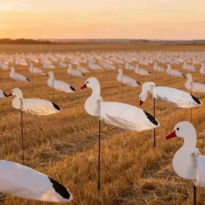 Silhouettes d'Oie avec Piquets Légères Résistantes aux Intempéries Ensemble Complet de 8 Pièces Pour Attraction d'Oiseaux Occasions de Chasse Naturelles