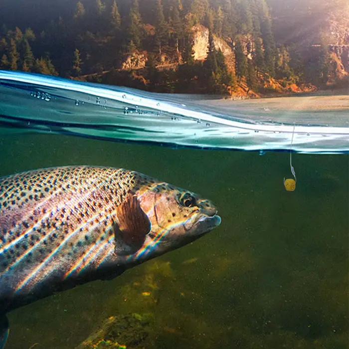 Appât granulé universel pour perche et silure - Pellets Hook Up avec odeur de ver rouge et poisson