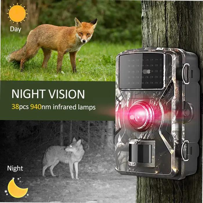 Caméra de chasse Wildlife 16MP 1080P infrarouge étanche IP66 pour observation nocturne des animaux