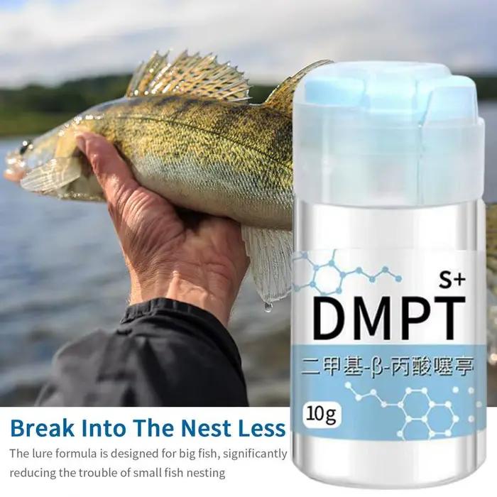 Gel attractant puissant longue durée pour appâts de pêche - Senteur naturelle soluble pour crevettes, carpes et tilapias