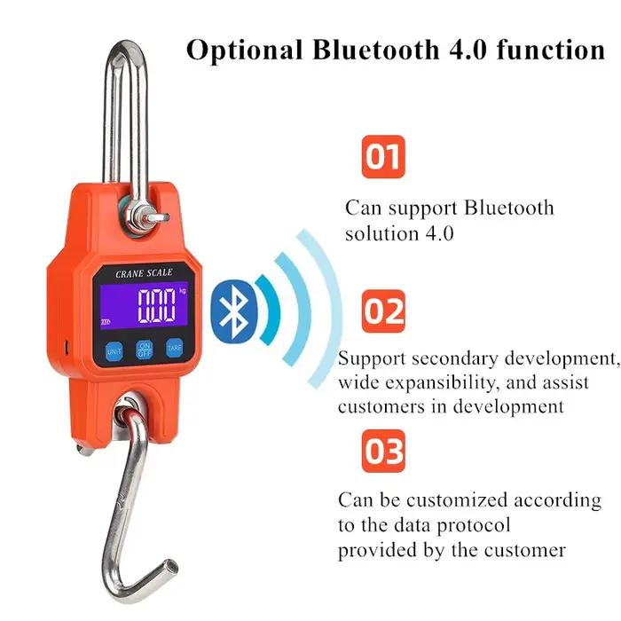 Balance électronique Bluetooth 300kg 50g - Pèse-brochet portable rechargeable