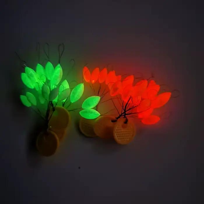 Flotteurs luminescents 7 étoiles pour pêche de la carpe en étang et rivière 6 en 1