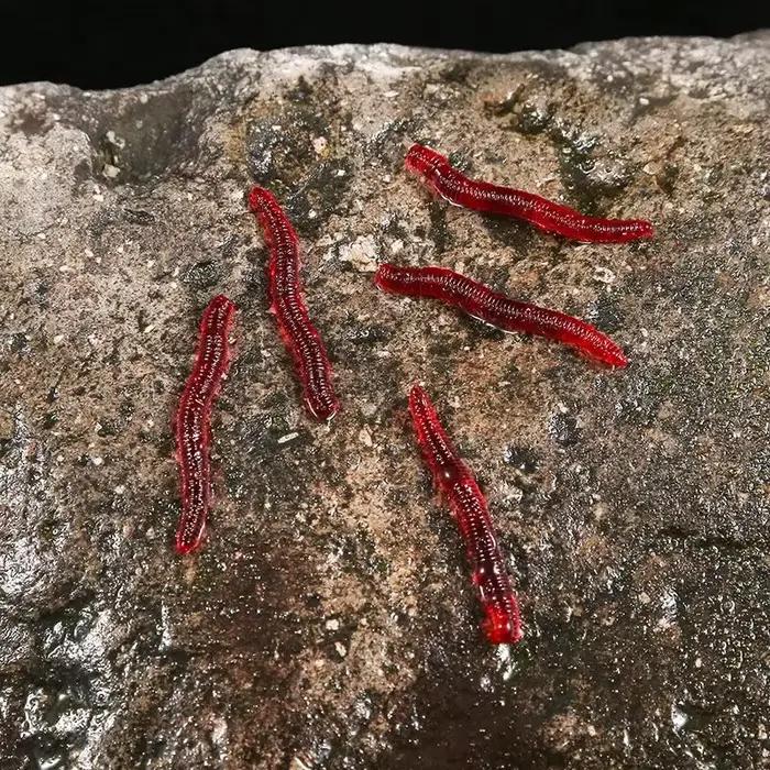 Leurre bionique ver rouge 100 pieces 3.5cm pince a poisson pour pêche sous marine occasions spéciales