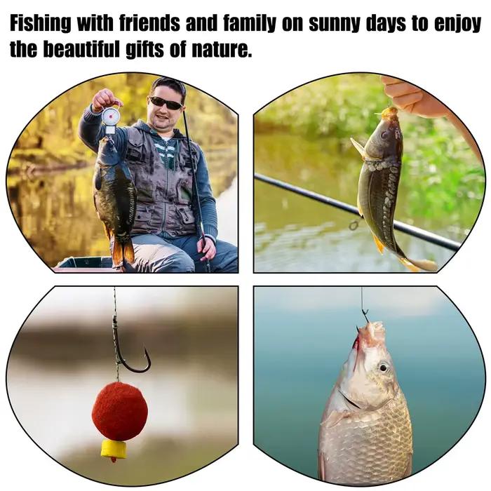 12 montages carp prêts à l'emploi avec hameçons pré-emmanchés et lignes pour bouillettes et appâts