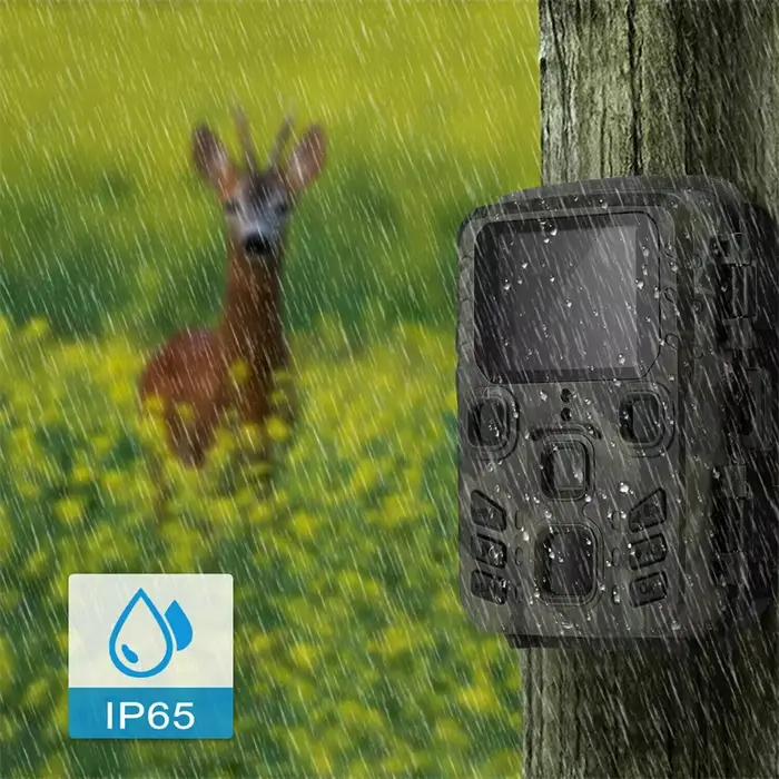 Caméra de chasse Suntekcam 20MP 1080P sans fil - Mini301 étanche IP65 pour wildlife