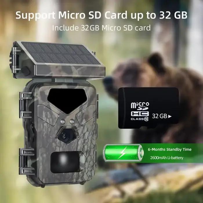 Caméra de chasse 4K vision nocturne infrarouge étanche IP65 surveillance cerfs sécurité jardin