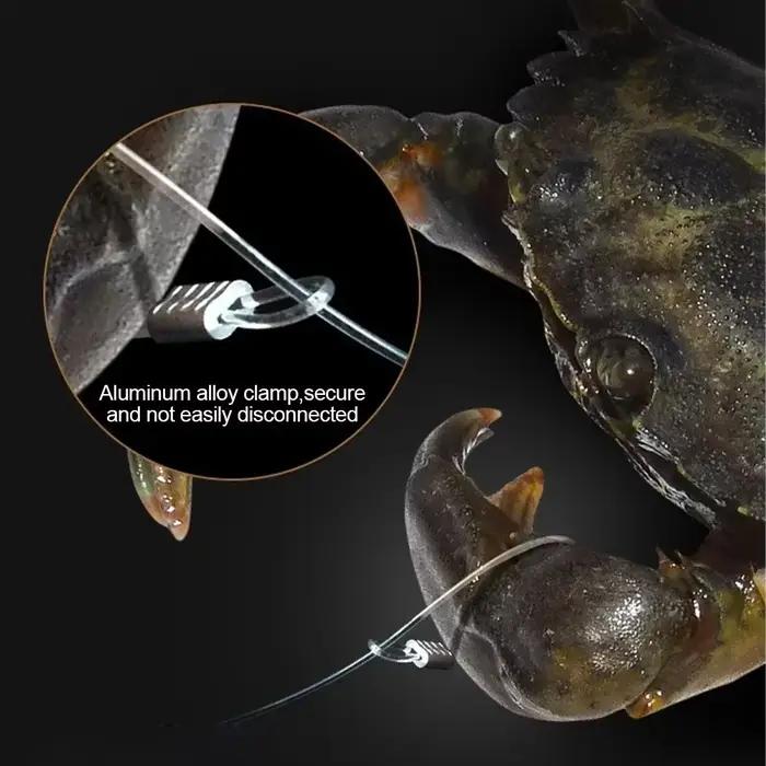 Piège à crabes en acier inoxydable avec appât pour capturer crabes crevettes et écrevisses