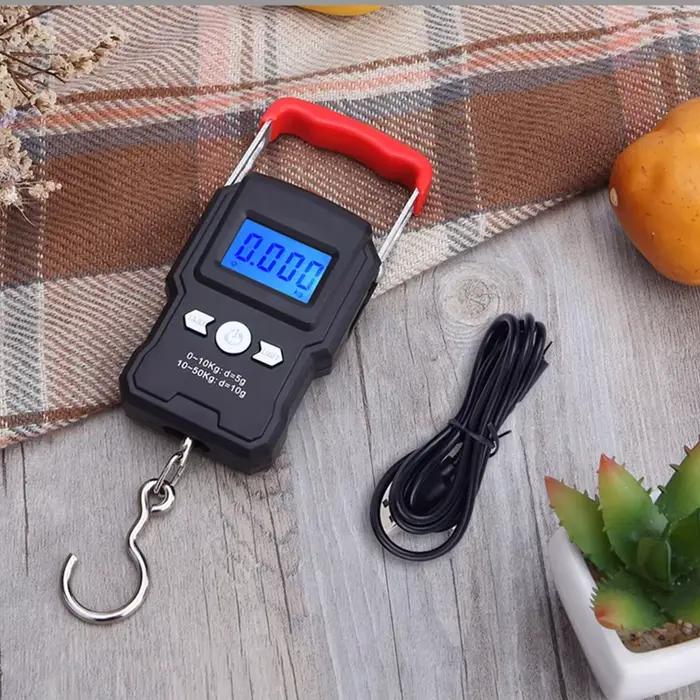 Mini balance digitale portable pêche - Balance électronique crochet poche voyage pesage bagages