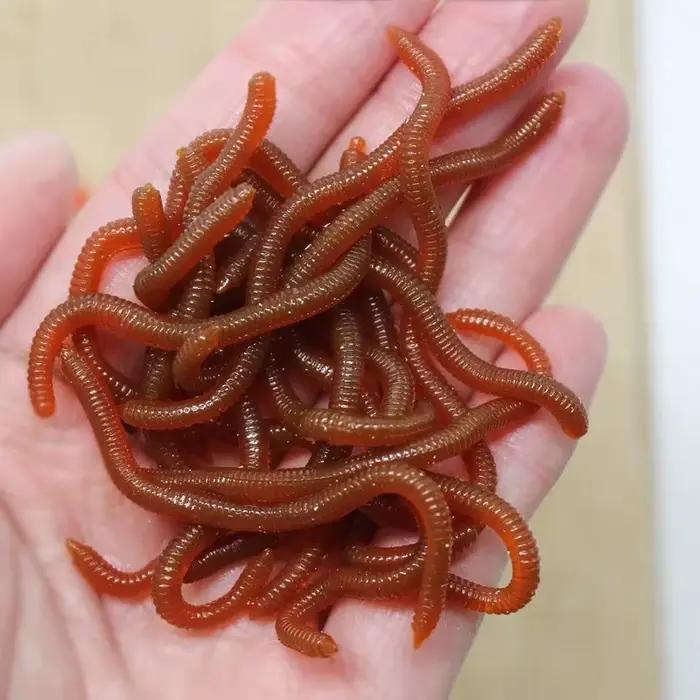 Leurre souple rouge BURLE imitation ver de terre avec odeur de poisson pour la pêche