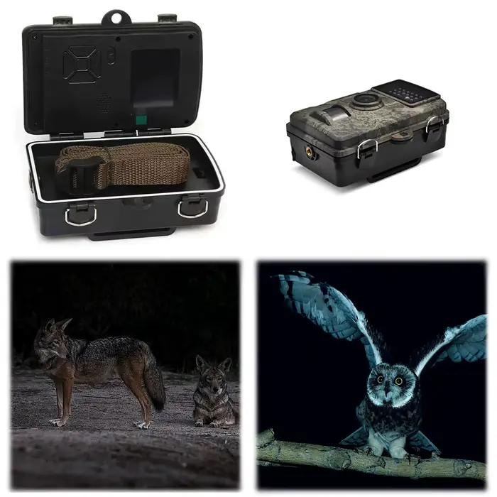 Caméra de chasse étanche vision nocturne infrarouge - Détection de mouvement pour traque et sécurité extérieure