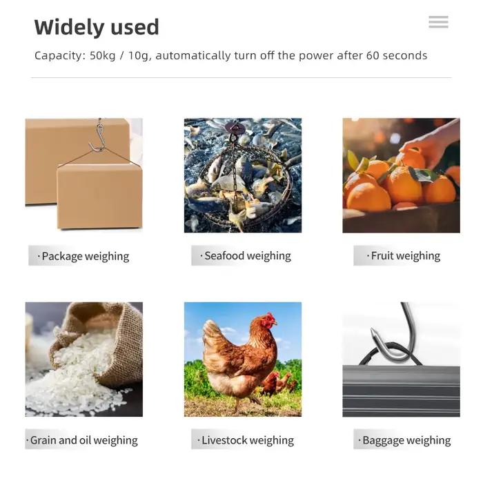 Pèse-personne à crochet numérique portable 50Kg précision 10g pour pêche bagages pesée précise électronique