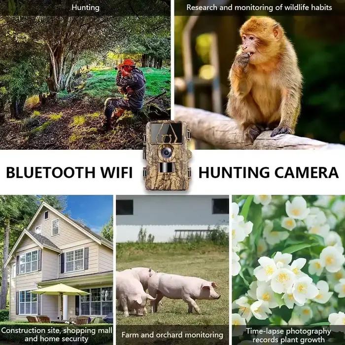 PR801 caméra trail WiFi 60MP 8K étanche avec détection mouvement infrarouge et contrôle application