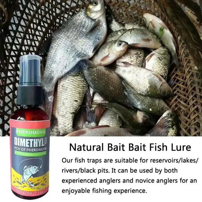 Spray attractant phéromones poissons - Appât liquide carpe crucian hareng pêche rivière sauvage