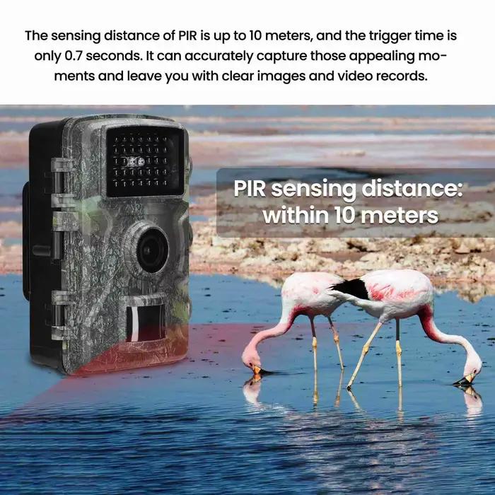 Caméra trail étanche IP66 2.0 pouces 1080P 16MP pour surveillance ferme observation champ pêche