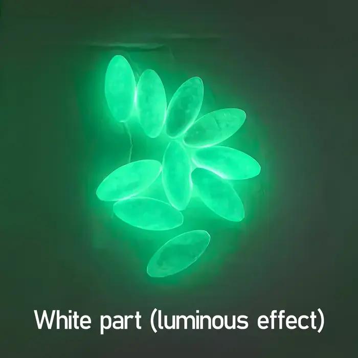 Flotteur ovale Topranc luminescent pêche mer et eau douce appât leurre pêche à la ligne