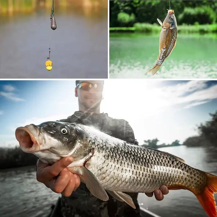6 montages carpe pré-montés avec hameçons et lignes leaders pour boilies et appâts carp fishing