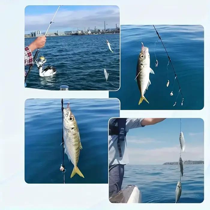 Sabiki rig flash prémonté avec 30 hameçons pour pêche d'appâts vivants et pêche en mer efficace