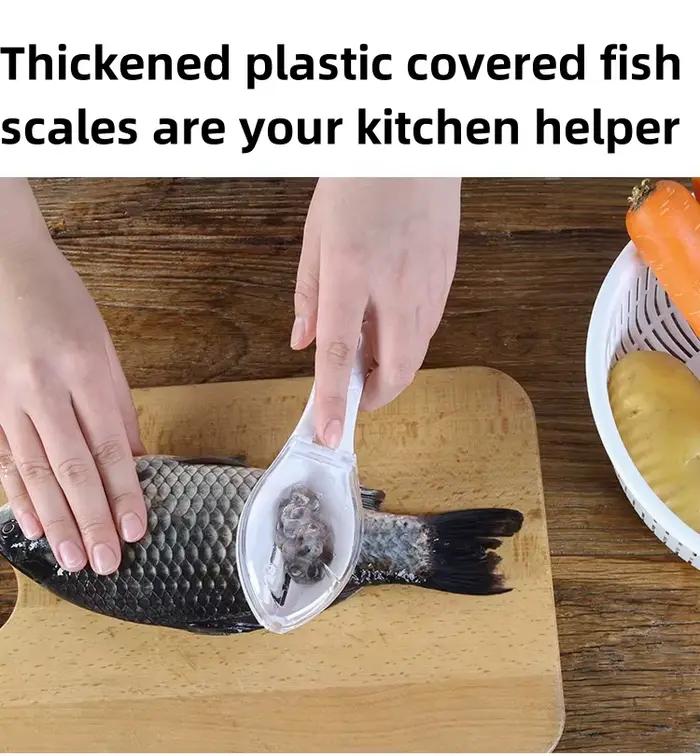 Racleur à écailles de poisson manuel avec couvercle, pour nettoyer et entretenir votre matériel de pêche