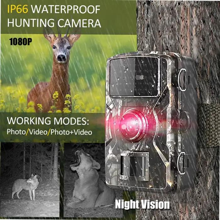 Caméra de chasse Wildlife 16MP 1080P infrarouge étanche IP66 pour observation nocturne des animaux
