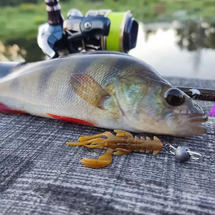 Lot de leurres souples Supercontinent Crazy Lures pour pêche en eau douce et salée, crevettes et homards, adapté aux poissons carnassiers