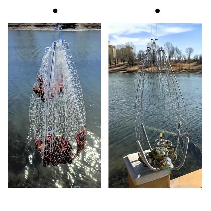 Cage à crabes anti-morsure 60cm avec filet élastique - Équipement professionnel pêche sous-marine