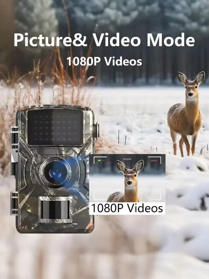 Caméra de chasse 1080P avec vision nocturne IR et détection de mouvement - Pistage animalier extérieur