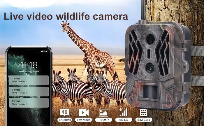 Caméra de chasse 4G sans batterie lithium avec double détection - Contrôle APP et service cloud inclus