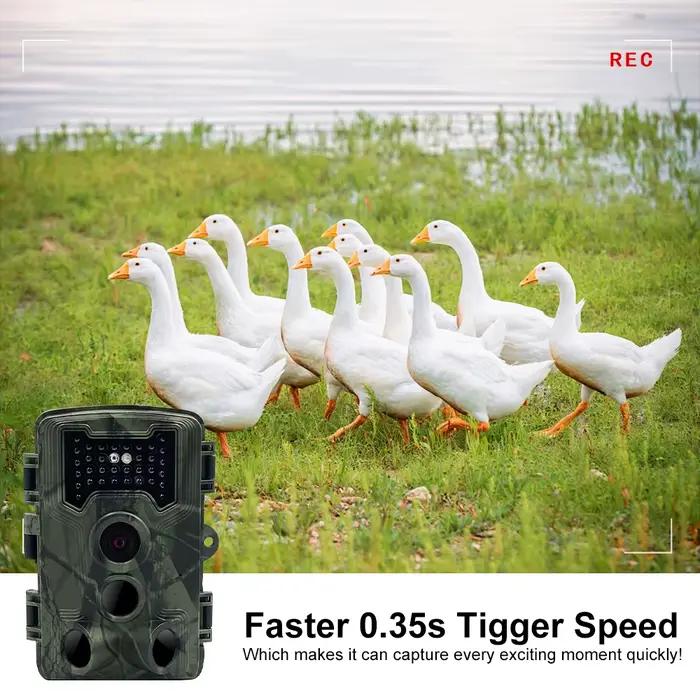Mini caméra de piste chasse 36MP 1080P - Vision nocturne détection mouvement piège photo surveillance faune